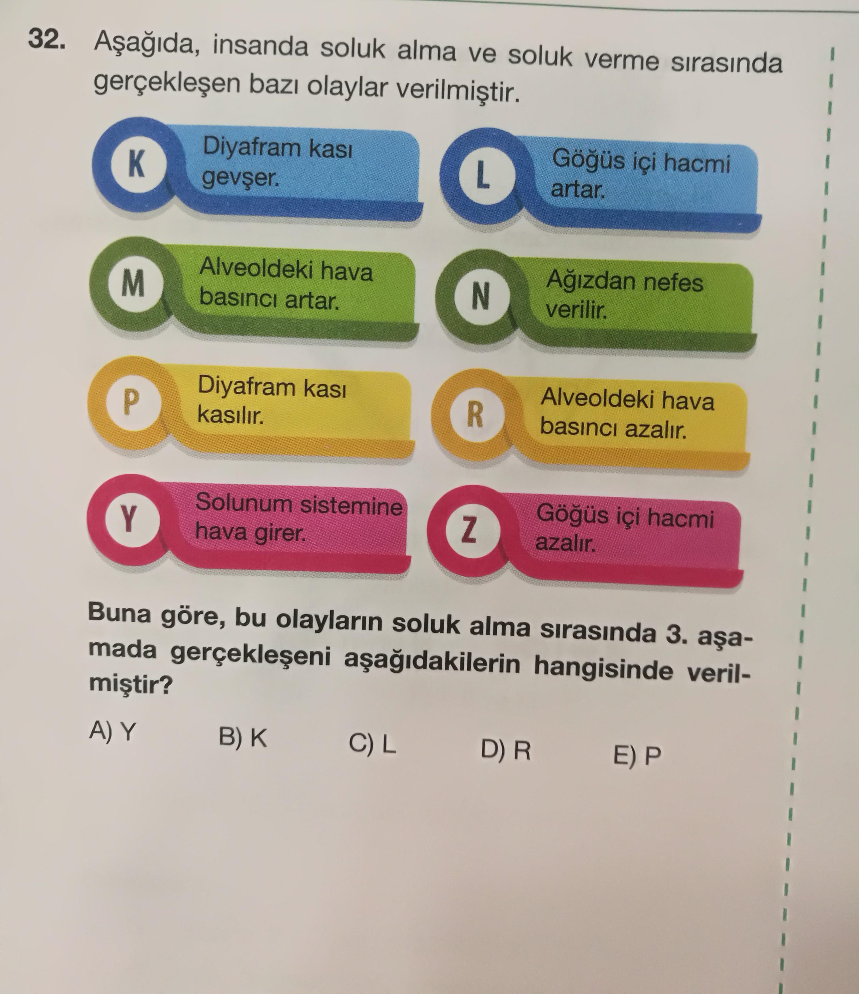 asagida insanda soluk alma ve soluk verme sirasind biyoloji asagida insanda soluk alma ve soluk verme sirasind biyoloji