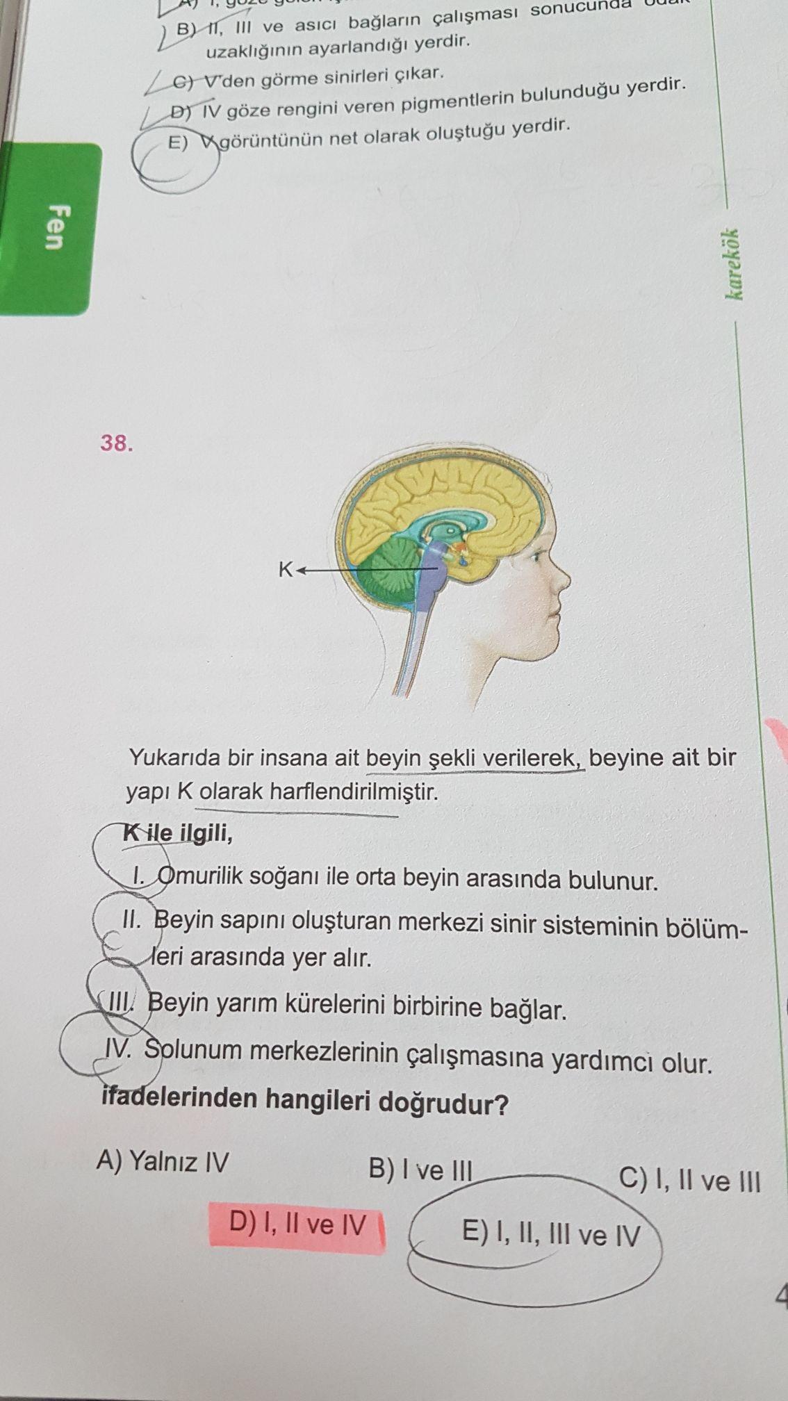 B 11 Iii Ve Asici Baglarin Calismasi Sonucund Uza Biyoloji
