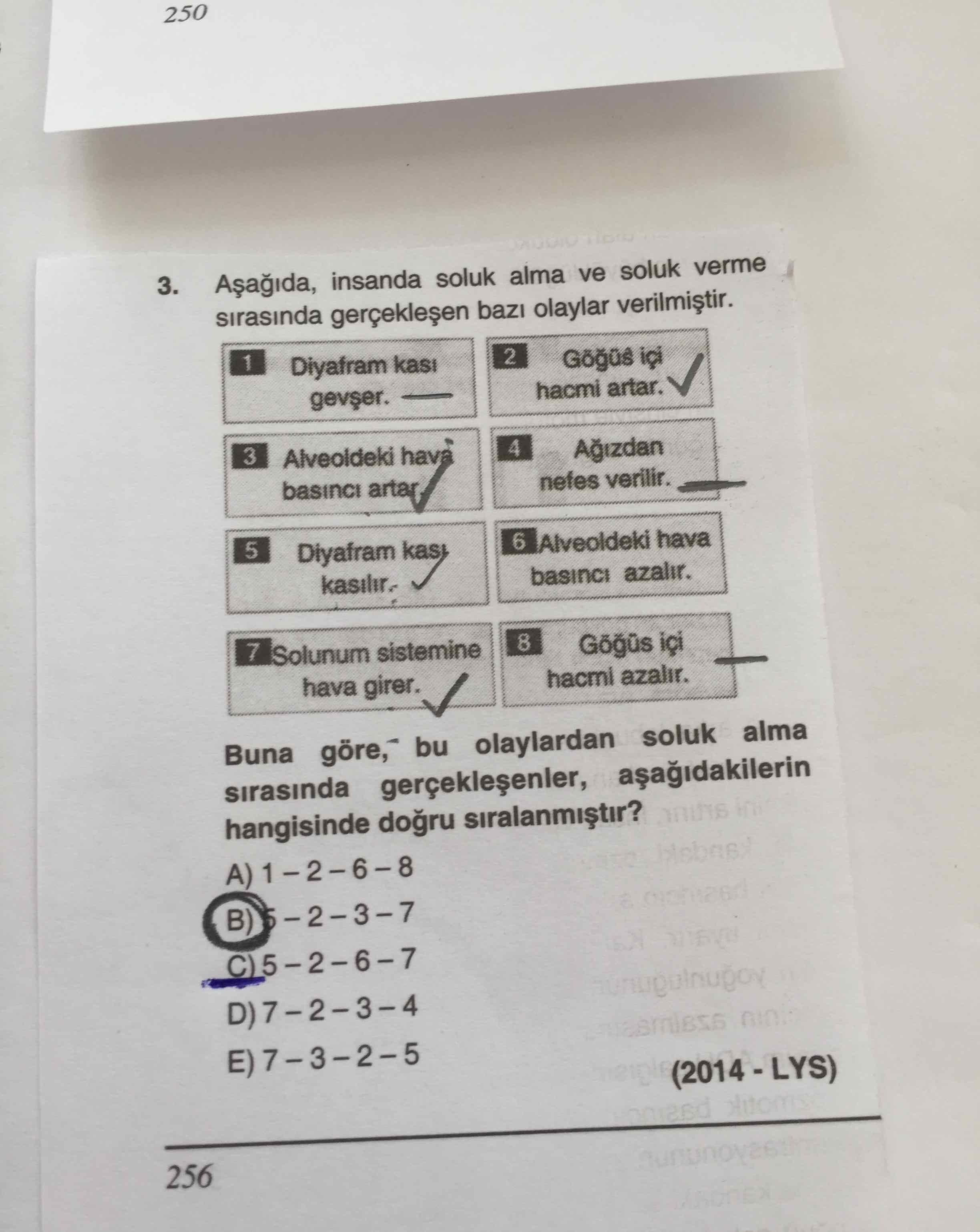 250 asagida insanda soluk alma ve soluk verme sira biyoloji 250 asagida insanda soluk alma ve soluk verme sira biyoloji