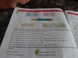 TÜRKCE
Kurum Adı
Web sayfasının hangi kuru-
ma, kuruluşa ya da kişiye ait
olduğunu belirtir.
Web sayfasının hangi ülkede
hazırlandığını belirtir.
Ülke kodu
18.8A Sinif ögrenolerinden An
Anil'ın Metri
D vitamini emik ve dile
Kasların ve sinirlerin ça
için g