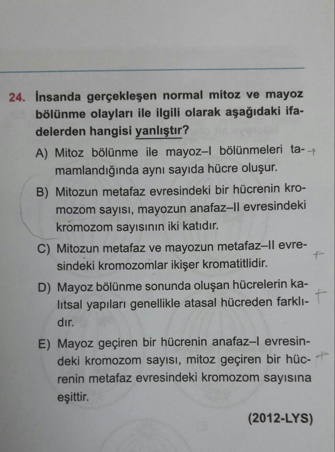 24 insanda gerceklesen normal mitoz ve mayoz bolun biyoloji