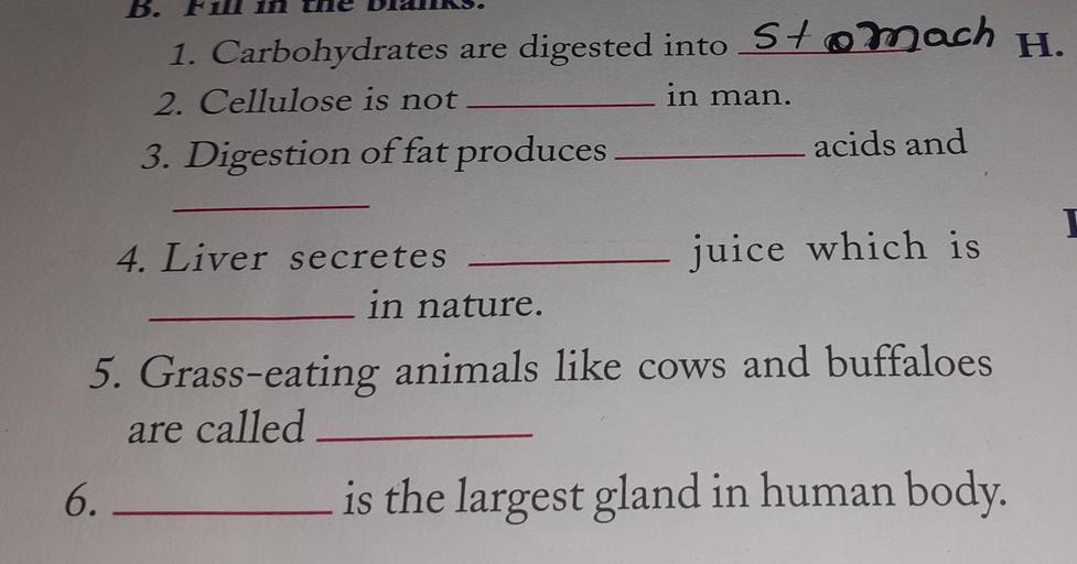 B. 1. Carbohydrates are digested into Stomach H. 2. Physics
