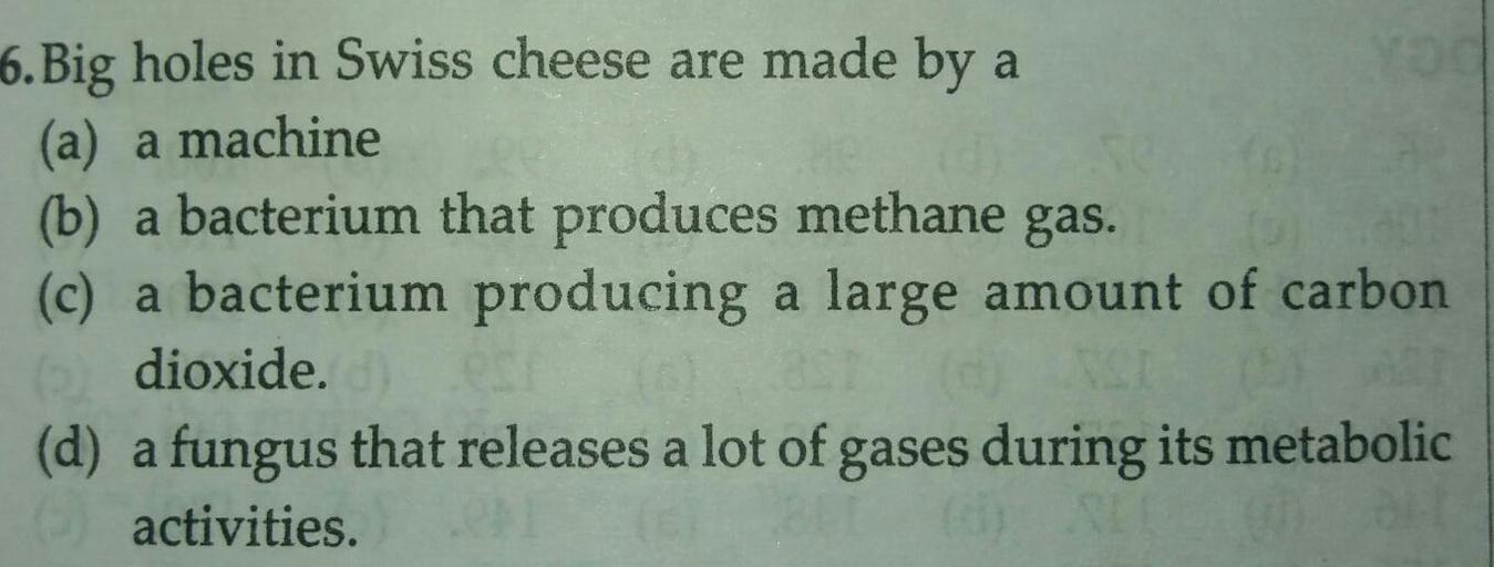Big holes in Swiss cheese are made by a (a) a machin... Biology