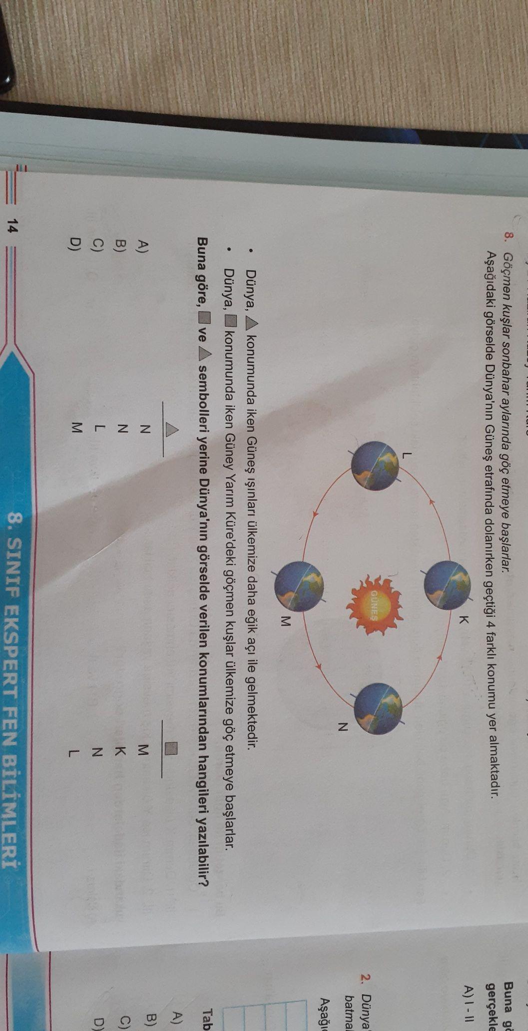 8 Gocmen Kuslar Sonbahar Aylarinda Goc Ortaokul Fen Bilgisi