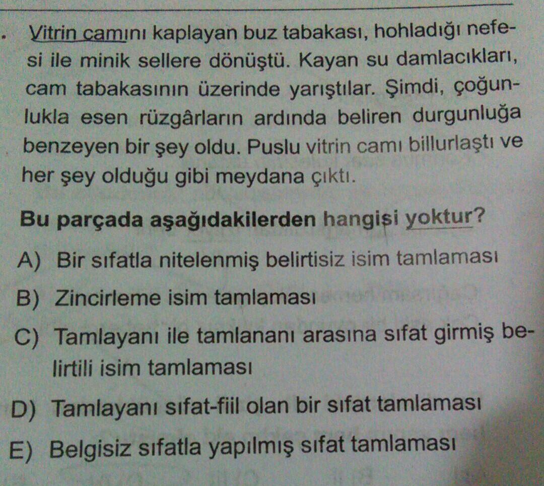 zamirler sozcuk halinde olabilecegi gibi ek hali lise turkce