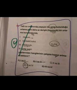 1 Tatlı su ortamında yaşayan bir amip bulunduğu
ortama göre daha az derişik (hipotonik) bir orta-
ma konulduğunda,
☺
I. ribozom,
II. kontraktil koful,
III. mitokondri,
BAK
IV golgi aygiti
yapılarından hangilerinin çalışma hızının artma-
si beklenir?
Al ve II
Bilvet
C) II ve III
(D) ve IV E) HI ve IV
