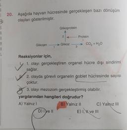 G
i 20. Aşağıda hayvan hücresinde gerçekleşen bazı dönüşüm
olayları gösterilmiştir.
5
Glikoprotein
A
A
1
Glikojen
Glikoz
A
CO2 + H2O
2
Protein
1
3
Reaksiyonlar için,
Ty 1. olayı gerçekleştiren organel hücre dışı sindirimi
sağlar.
2. olayda görevli organelin goblet hücresinde sayısı
çoktur.
3. olayı mezozom gerçekleştirmiş olabilir.
yargılarından hangileri doğrudur?
A) Yalniz
B) Yalnız II C) Yalnız III
D) I ve II
E) I, II ve III
