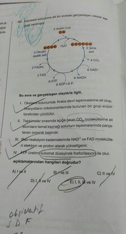 40. Hücresol solunuma ait bir evrede gerçekleşen olaylar asa-
Orda verilmiştir
otit dl-
Polol
gida
2 Asetil COA
cccc H2O
2 Okzalo
asotik asit
cccccc
2 Sitrik
asit
4 CO2
2 FADH
6 NAD
2 FAD
6 ATP
6 NADH
6 ADP+6P,
Bu evre ve gerçekleşen olaylarla ilgili,
1. Oksijent solunumda Krebs devri tepkimelerine ait olup,
okaryotların mitokondrilerinde bulunan bir grup enzim
tarafından yürütülür.
II. Tepkimeler sırasında açığa çıkan CO, moleküllerine ait
atomların temel kaynağı solunum tepkimelerinde parça-
lanan organik besindir.
III. Bazı reaksiyon kademelerinde NAD+ ve FAD molekülle-
ri elektron ve proton alarak yükseltgenir.
IV. ATP üretimi substrat düzeyinde fosforilasyon ile olur.
açıklamalarından hangileri doğrudur?
A) I yo Il
B) I ve III
C) Il ve IV
D) I, II ve IV
E) I, II, WI ve IV
ayland
oksidant