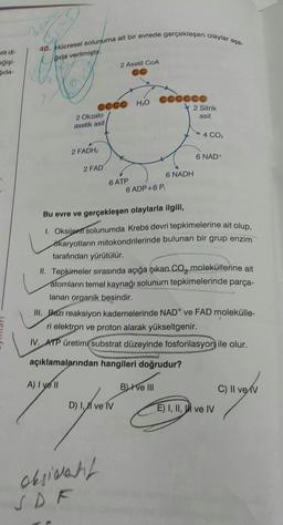 40. Hücresol solunuma ait bir evrede gerçekleşen olaylar asa-
Orda verilmiştir
otit dl-
Polol
gida
2 Asetil COA
cccc H2O
2 Okzalo
asotik asit
cccccc
2 Sitrik
asit
4 CO2
2 FADH
6 NAD
2 FAD
6 ATP
6 NADH
6 ADP+6P,
Bu evre ve gerçekleşen olaylarla ilgili,
1. Oksijent solunumda Krebs devri tepkimelerine ait olup,
okaryotların mitokondrilerinde bulunan bir grup enzim
tarafından yürütülür.
II. Tepkimeler sırasında açığa çıkan CO, moleküllerine ait
atomların temel kaynağı solunum tepkimelerinde parça-
lanan organik besindir.
III. Bazı reaksiyon kademelerinde NAD+ ve FAD molekülle-
ri elektron ve proton alarak yükseltgenir.
IV. ATP üretimi substrat düzeyinde fosforilasyon ile olur.
açıklamalarından hangileri doğrudur?
A) I yo Il
B) I ve III
C) Il ve IV
D) I, II ve IV
E) I, II, WI ve IV
ayland
oksidant
