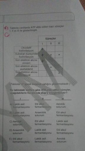 Tabloda canlılarda ATP elde edilen bazı süreçler
1. Il ve Ill ile gösterilmiştir
Süreçler
11
Oksidatif
fosforilasyon
Substrat düzeyinde
fosforilasyon
Son elektron alicisi
oksijen
Son elektron alıcısı
asetaldehit
Son elektron alıcısı
avat
(Tabloda + işareti
