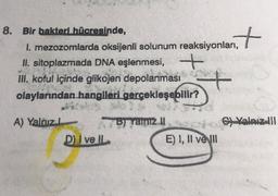 1. mezozomlarda oksijenli solunum reaksiyonlant
8. Bir bakteri hücresinde,
1. mezozomlarda oksijenli solunum reaksiyonları,
II. sitoplazmada DNA eşlenmesi, +
III. koful içinde glikojen depolanması
olaylarından hangileri gerçekleşebilir?
+
A) Yalnız
C) Valnız III
B) Yalnız II
E) I, II velul
D) I ve IL