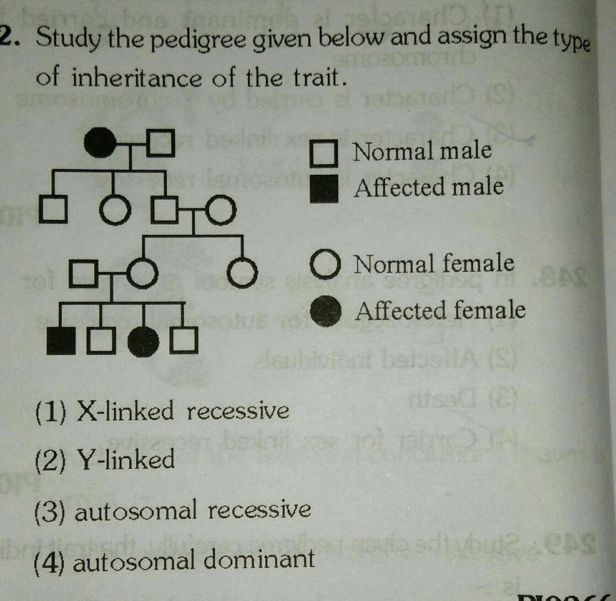 Study The Pedigree Given Below And Assign The Type O Biology
