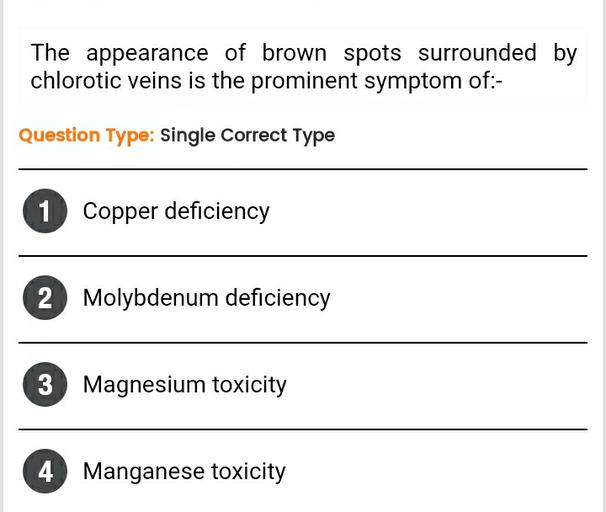 The appearance of brown spots surrounded by chloroti... Biology