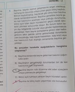 soz gelimi bir sairin yazann ve ressamin orman lise turkce