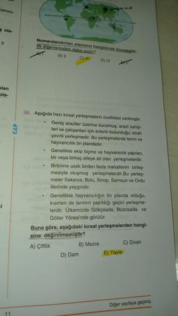 benim-
sola-
DI
Numaralandırılan alanların hangisinde blyocesit
lik diğerlerinden daha azdır?
C) in D) IV
B)
ilan
pla-
CAP
36. Aşağıda bazı kırsal yerleşmelerin özellikleri verilmiştir.
Geniş araziler üzerine kurulmuş, arazi sahip-
leri ve çalışanları için