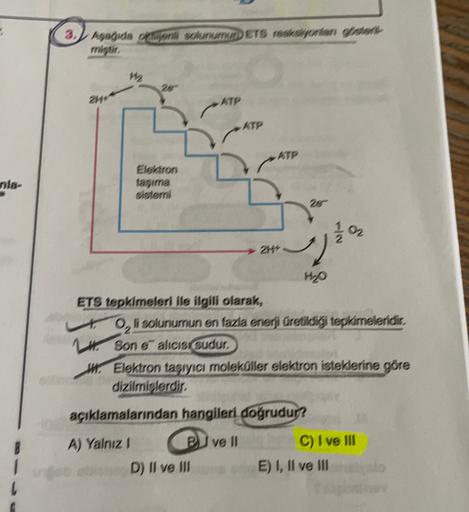 -
2) Agaida do SETS reaksiyonian tried
mistir.
24*
ATP
nia-
Elektron
taguma
sistemi
102
2114
HO
ETS tepkimeleri ile ilgili olarak,
Oli solunumun en fazla enerji üretildigi tepkimeleridir.
H. Son alicie sudur,
W. Elektron tasiyici moleküller elektron istekl