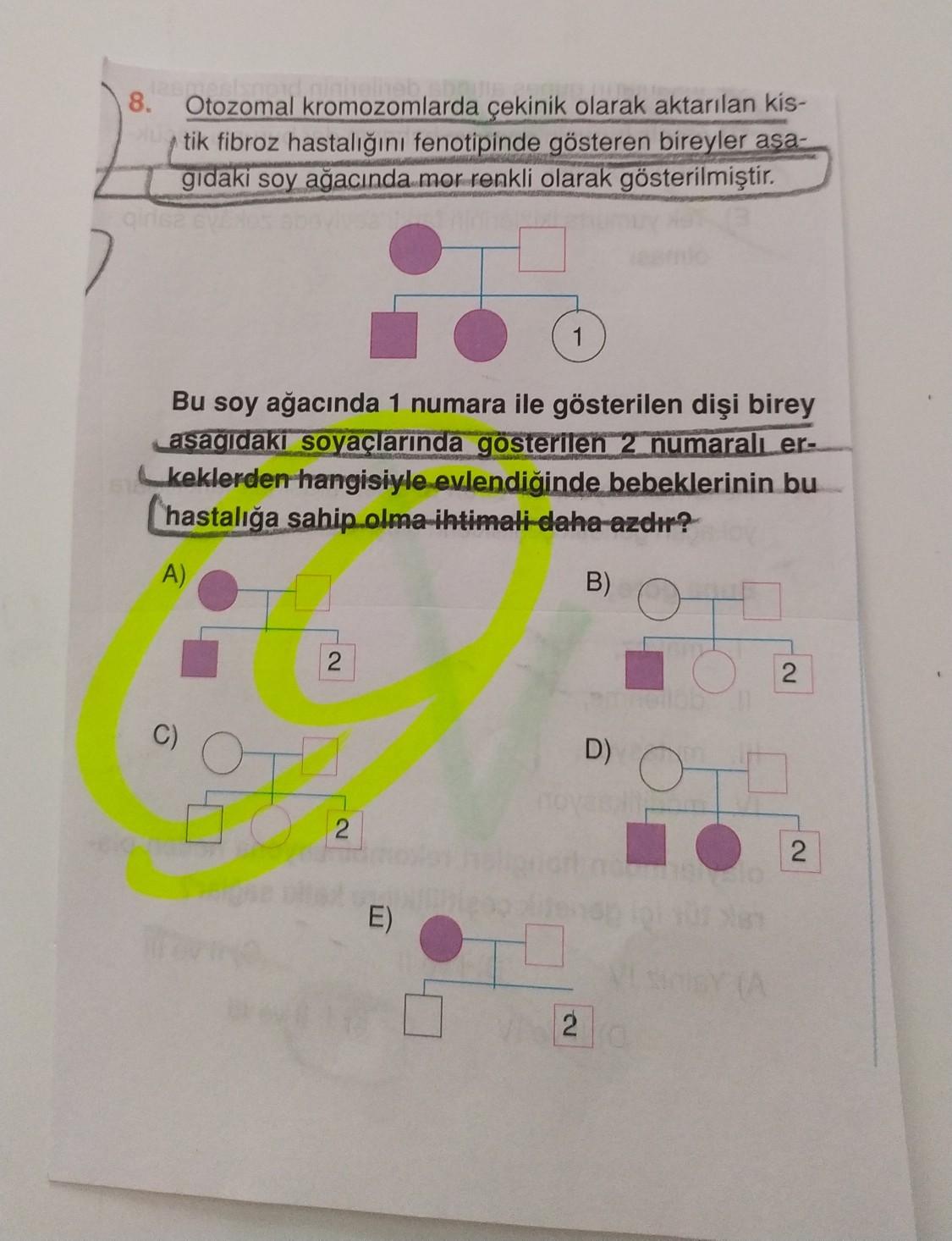 kkrr genotipindeki bir bireyde k ve r genleri bagli biyoloji