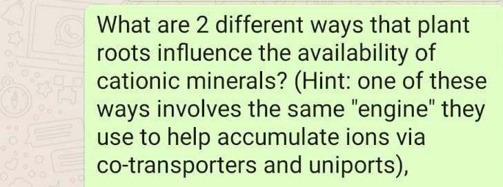 What Are 2 Different Ways That Plant Roots Influence Biology