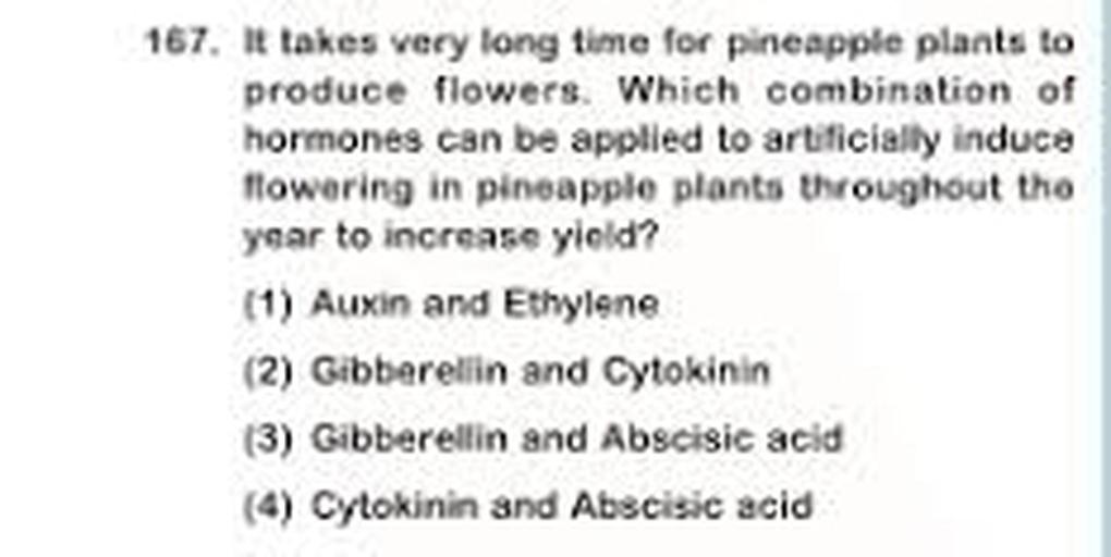 It takes very long time for pineapple plants to prod... Biology