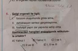 yvan
libea Code EA
6.
L.
Golgi organeli ile ilgili;
lizozom oluşumunda görev alma,
II. dehidrasyon sentezi gerçekleştirme,
III. fosfolipit yapılı zar yapısına sahip olma
özelliklerden hangileri endoplazmik retikulum-
la ortaktır?
A) Yalnız! B) Yalnız || C) I ve II
D) II ve III E) I, Il ve Ill