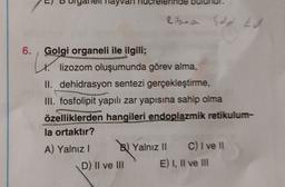 yvan
libea Code EA
6.
L.
Golgi organeli ile ilgili;
lizozom oluşumunda görev alma,
II. dehidrasyon sentezi gerçekleştirme,
III. fosfolipit yapılı zar yapısına sahip olma
özelliklerden hangileri endoplazmik retikulum-
la ortaktır?
A) Yalnız! B) Yalnız || C) I ve II
D) II ve III E) I, Il ve Ill
