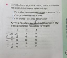 6. Mayoz bölünme geçirmekte olan X, Y ve Z hücrelerinin
bazı evrelerindeki sayısal veriler verilmiştir.
• X'in anafaz Il evresinde her kutupta 24 kromatit 24
• Y'nin profaz I evresinde 16 tetrat
• Z'nin anafaz levresinde 30 kromozom
X, Y ve Z hücrelerin gametlerindeki kromozom sayi-
si aşağıdakilerden hangisinde verilmiştir?
mionnNMELERT
X
Y
Z
12
8
15
24
16
15
A)
B)
C)
D)
E)
12
15
32
16
24
30
-
48
32
30
C