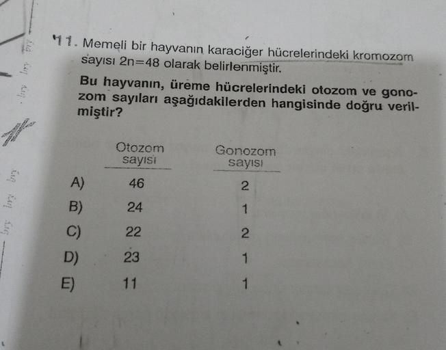 "11. Memeli bir hayvanın karaciğer hücrelerindeki kromozom
sayısı 2n=48 olarak belirlenmiştir.
Bu hayvanın, üreme hücrelerindeki otozom ve gono-
zom sayıları aşağıdakilerden hangisinde doğru veril-
miştir?
Otozom
sayısı
Gonozom
sayısı
A)
46
2
B)
24
1
C)
22