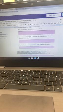 +
5295570.document
Submit Assignment
arcie - Bean Simulation Lab - 141205141 Ecosystem Bean Simulation
Want Format Tools Add-ons Help
12
BIVAO. 3 13 EE- *
2 Respond to these questions after completing the simulation
2. What does the SUPPLY bin represent in