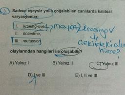 3.
Sadece eşeysiz yolla çoğalabilen canlılarda kalıtsal
varyasyonlar;
1.
krosing-over!
mayon) Prosing
II. döllenme,
III. mutasyon
Gekildekiali
olaylarından hangileri ile oluşabilir?
hücre?
A) Yalnız!
B) Yalnız II
C) Yalnız III
DI ve III
E) I, II ve III
