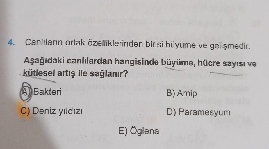 4. Canlıların ortak özelliklerinden birisi büyüme ve gelişmedir.
Aşağıdaki canlılardan hangisinde büyüme, hücre sayısı ve
kütlesel artış ile sağlanır?
A Bakteri
Bakteri
B) Amip
C) Deniz yıldızı
D) Paramesyum
E) Öglena
