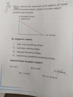 to
Tatlısu ortamlarında yaşamaya uyum sağlamış bir hücreli
canlıda kontraktil kofulun çalışma hızındaki değişim
grafikteki gibi olmuştur.
A Kontraktil kofulun
çalışma hizi
Zaman
Bu değişimin nedeni;
tuzlu suya konulmuş olması,
II. canlılığını yitirmiş olması,
III. saf suya konulmuş olması,
IV. izotonik tuz çözeltisine bırakılmış olması
faktörlerinden hangileri olabilir?
A) I ve II
B) II ve III
c) lyon
D) I, II ve IV
E) I, II, III ve IV
