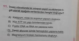 11. İnsan vücudunda bir mineral çeşidi ve etkileriyle il-
gili olarak aşağıda verilenlerden hangisi doğrudur?
AKalsiyum, mide öz suyunun yapısını oluşturur.
B) Klor ATP nin yapı birimlerinden biridir.
C) Fosfor DNA ve RNA nin yapısına katılır.
(D) Demir akyuvar içinde hemoglobin yapısına katılır.
E) Magnezyum tiroksin hormonunu oluşturur.