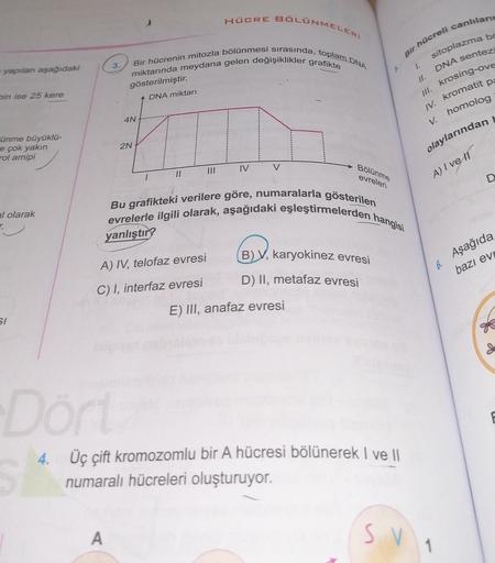 HÜCRE BÖLÜNMELERİ
Bir hücrenin mitozla bölünmesi sırasında, toplam DNA
miktarında meydana gelen değişiklikler grafikte
Bir hücreli canlılar
3.
1.
- yapılan aşağıdaki
gösterilmiştir.
bin ise 25 kere
DNA miktarı
sitoplazma bd
DNA sentezi
Ill. krosing-ove
IV.
