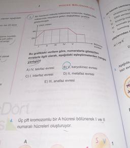 HÜCRE BÖLÜNMELERİ
Bir hücrenin mitozla bölünmesi sırasında, toplam DNA
miktarında meydana gelen değişiklikler grafikte
Bir hücreli canlılar
3.
1.
- yapılan aşağıdaki
gösterilmiştir.
bin ise 25 kere
DNA miktarı
sitoplazma bd
DNA sentezi
Ill. krosing-ove
IV. kromatit pa
V. homolog
4N
ünme büyüklü-
e çok yakın
rol amipi
2N
olaylarından
IV
Bölünme
evreleri
A) I vel
D
el olarak
Bu grafikteki verilere göre, numaralarla gösterilen
evrelerle ilgili olarak, aşağıdaki eşleştirmelerden hangisi
yanlıştır?
B), karyokinez evresi
Aşağıda
A) IV, telofaz evresi
6.
bazı evr
D) II, metafaz evresi
C) I, interfaz evresi
E) III, anafaz evresi
SI
Dón
4. Üç çift kromozomlu bir A hücresi bölünerek I ve II
numaralı hücreleri oluşturuyor.
A
SV
1
