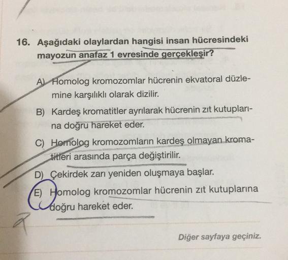 16. Aşağıdaki olaylardan hangisi insan hücresindeki
mayozun anafaz 1 evresinde gerçekleşir?
A) Homolog kromozomlar hücrenin ekvatoral düzle-
mine karşılıklı olarak dizilir.
B) Kardeş kromatitler ayrılarak hücrenin zıt kutupları-
na doğru hareket eder.
C) H