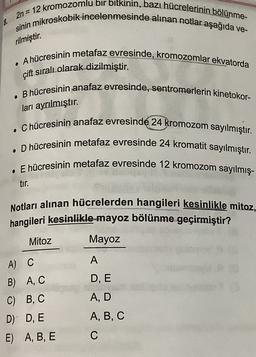 2n = 12 kromozomlu bir bitkinin, bazı hücrelerinin bölünme-
sinin mikroskobik incelenmesinde alınan notlar aşağıda ve-
8.
rilmiştir.
• Ahücresinin metafaz evresinde, kromozomlar ekvatorda
çift sıralı olarak dizilmiştir.
B hücresinin anafaz evresinde, sentromerlerin kinetokor-
.
ları ayrılmıştır.
• C hücresinin anafaz evresinde 24 kromozom sayılmıştır.
D hücresinin metafaz evresinde 24 kromatit sayılmıştır.
. E hücresinin metafaz evresinde 12 kromozom sayılmış-
tir.
Notları alınan hücrelerden hangileri kesinlikle mitoz,
hangileri kesinlikle-mayoz bölünme geçirmiştir?
Mayoz
Mitoz
A
A) C
B) A, C
D, E
A, D
C) B, C
D) D, E
E) A, B, E
A, B, C
C
