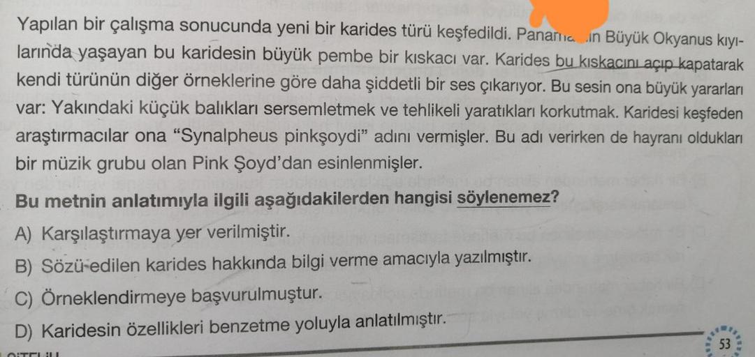 Yapılan bir çalışma sonucunda yeni bir karides türü keşfedildi. Panana in Büyük Okyanus kiyi-
larında yaşayan bu karidesin büyük pembe bir kıskacı var. Karides bu kıskacını açıp kapatarak
kendi türünün diğer örneklerine göre daha şiddetli bir ses çıkarıyor