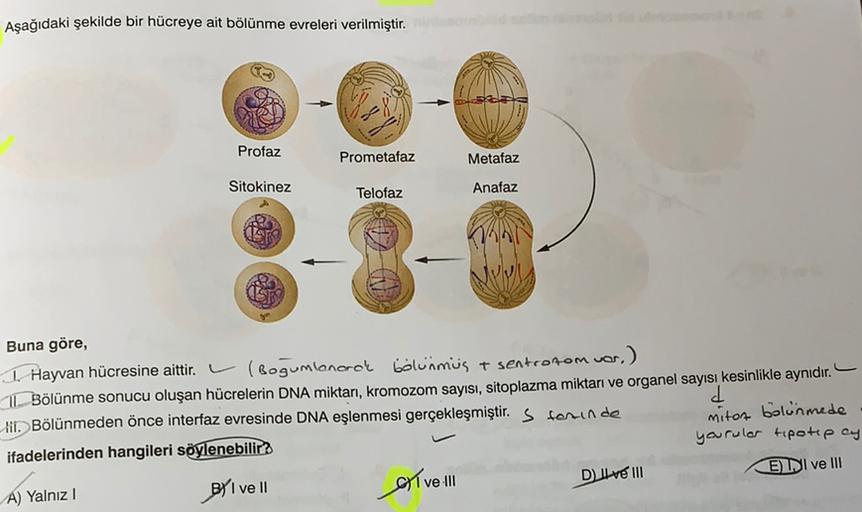 Aşağıdaki şekilde bir hücreye ait bölünme evreleri verilmiştir.
Profaz
Prometafaz
Metafaz
Anafaz
Sitokinez
Telofaz
Buna göre,
1 Hayvan hücresine aittir. (Bogumlanarak boluamus + sentrotom vor.)
Bölünme sonucu oluşan hücrelerin DNA miktarı, kromozom sayısı,