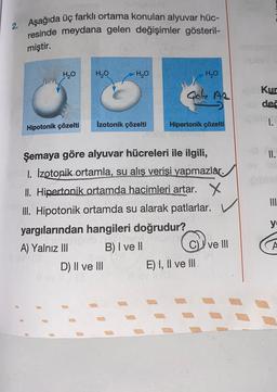 2. Aşağıda üç farklı ortama konulan alyuvar hüc-
resinde meydana gelen değişimler gösteril-
miştir.
H2O
H2O
H2O
HO
Gak A2
Kur
deč
Izotonik çözelti
Hipotonik çözelti
Hipertonik çözelti
II.
Şemaya göre alyuvar hücreleri ile ilgili,
1. Izotonik ortamla, su alış verişi yapmazlar.
II. Hipertonik ortamda hacimleri artar. X
III. Hipotonik ortamda su alarak patlarlar.
yargılarından hangileri doğrudur?
A) Yalnız III B) I ve II
C) ve III
D) II ve III E) I, II ve III
y
A