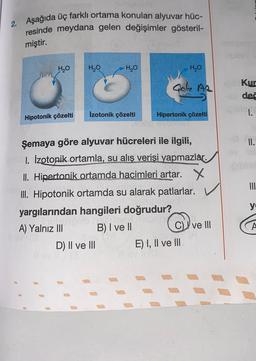 2. Aşağıda üç farklı ortama konulan alyuvar hüc-
resinde meydana gelen değişimler gösteril-
miştir.
H2O
H2O
H2O
HO
Gak A2
Kur
deč
Izotonik çözelti
Hipotonik çözelti
Hipertonik çözelti
II.
Şemaya göre alyuvar hücreleri ile ilgili,
1. Izotonik ortamla, su alış verişi yapmazlar.
II. Hipertonik ortamda hacimleri artar. X
III. Hipotonik ortamda su alarak patlarlar.
yargılarından hangileri doğrudur?
A) Yalnız III B) I ve II
C) ve III
D) II ve III E) I, II ve III
y
A
