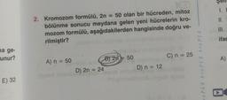 sel
1.
II.
2. Kromozom formülü, 2n = 50 olan bir hücreden, mitoz
bölünme sonucu meydana gelen yeni hücrelerin kro-
mozom formülü, aşağıdakilerden hangisinde doğru ve-
rilmiştir?
III.
ifad
na ge-
unur?
C) n = 25
A)
A) n = 50
BJ 2n = 50
D) 2n = 24
D) n = 12
YPLE bryPLE GRUPLE
E) 32