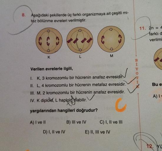 8. Aşağıdaki şekillerde üç farklı organizmaya ait çeşitli mi-
toz bölünme evreleri verilmiştir.
11. 2n = 4
farklı d
verilmi
C
K
L
M
B
İ
.
Verilen evrelerle ilgili,
1. K, 3 kromozomlu bir hücrenin anafaz evresidir.
OHHX
II. L, 4 kromozomlu bir hücrenin meta