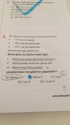 5. Insanda aşağıdaki hücrelerden hangisinin
mitoz hizi en yüksektir?
v doku hücrest
B1 Embriyo huches
Sinir Hucres
Kas hücher
EL Kkirdak hücresi
6. Bir hayvan hücresinde mitoz bölünmenin,
- 0°C de olmadığı
- 25°C de 90 dakikada
- 37°C de 30 dakikada
tamaml