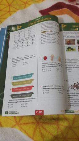 KONU - 1
SÖZCÜK SIRALAMASI
Wow
own grand
amalan
for Art Me
KAVRU
onu gove witam
SI
ww
Jamme
Uu'nun kiralama
re Marsilik gelon SORG
dogru vertinti
une gore
far bir kavramlaringer
som
u tome vertien arcanter som
wek eeneklerden angiogrudur?
A) Adana Ankara
b) Adana Ankara
G) Adana Antalya Ana
Dj Adana Artvin Ana M
A
A
11
1
Saba Saher ----
Boy bwakilan yere seceneklerden hangiya-
niliwa verilen szokler sok sirasina göre
swalannwy olur?
A) Sevda
B) 50
C) Surat
D) Sahra
Numaralanmis görselleria
Sözik sırasına göre dizilire
dakilerden hangisi olur?
Uyanacak dat daar
och omruklatik
Kucaklayarak kustan
Yuva olacak onlara
Bu dizelerde alt gril
digerleriyle aynı kavran
Agaclar
c) Kuslar
A) 4.3-1-2
C) 2-1-3-4
1-44
1
denge deprem - dostandervig
korpus kalon - kapekaval
12. Seçeneklerdeki sözcükler, som
göre sıralanırsa hangisi son
naylon-nalinnaden - nem
B) Yuri
A) Yüzük
C) Yürek
D) Y28
IV
gargodan - gida - gofret-gugum
2
Bu görselde bos b
ram alanına göre
zilmalidir?
A) Basketbol, vole
B) Müzik, futbol,
C) Hokey, motor
D) Bisiklet, baskel
Numaralanmış bölümlerden hangileri sözlük
sıralamasına göre doğru sıralanmistir?
A) / vell
B) III ve IV
C) 7 ve it!
D) Il ve IV
TURKCEDESTRES YOK
CARI
10 BAŞARI VAR
PLUS TurkçeMino PLUS
