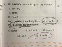 3.
Bir bitki hücresinin lökoplast organelinde,
kök
5.
elde
I. glikozit,
II. ester,
III. peptit
bağ çeşitlerinden hangilerini içeren poli-
mer besinler depolanabilir?
A) Yalnız
B) Yalnız ||
C) Yalnız 11
D) I ve II
E) I, II ve III