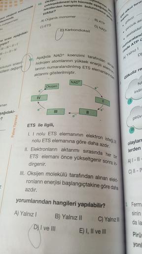 onlarge
çekleşebilmesi için hücrede ayagidaki
leküllerden hangisinin bulunmatina
10. Ok
yoktur?
Etil alkol fern
B) ATP
zun oksijenil solunurda
Waruminda,
w indirgenmesi
A) Organik monomer
lesen,
C) ETS
D) NAD
- glikoz
NA
E) Karbondioksit
Okan
me sırası aşa