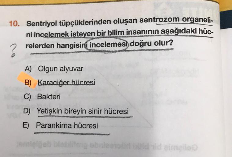 10. Sentriyol tüpçüklerinden oluşan sentrozom organeli-
ni incelemek isteyen bir bilim insanının aşağıdaki hüc-
relerden hangisini incelemesi doğru olur?
A) Olgun alyuvar
B) Karaciğer hücresi
C) Bakteri
D) Yetişkin bireyin sinir hücresi
E) Parankima hücres