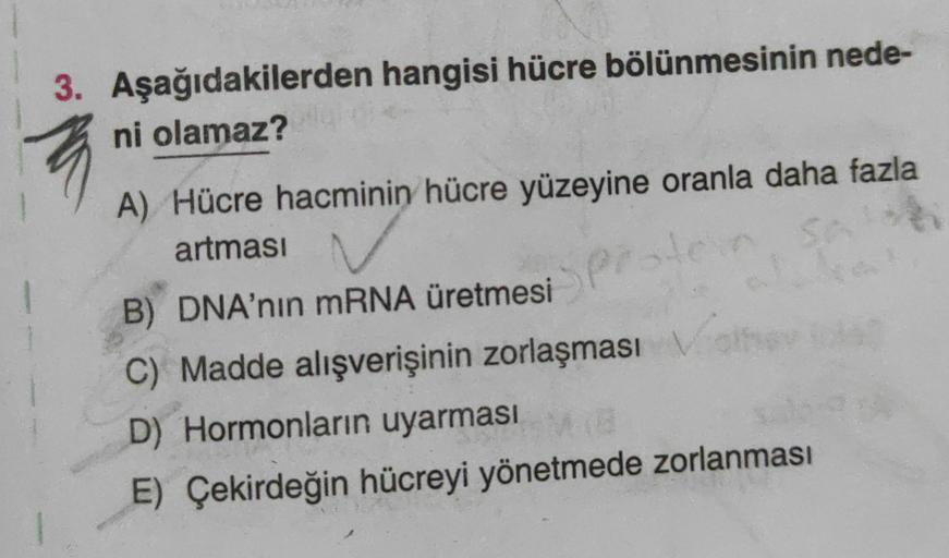 3. Aşağıdakilerden hangisi hücre bölünmesinin nede-
ni olamaz?
A) Hücre hacminin hücre yüzeyine oranla daha fazla
artması
B) DNA'nın mRNA üretmesi
C) Madde alışverişinin zorlaşması
D) Hormonların uyarması
E) Çekirdeğin hücreyi yönetmede zorlanması