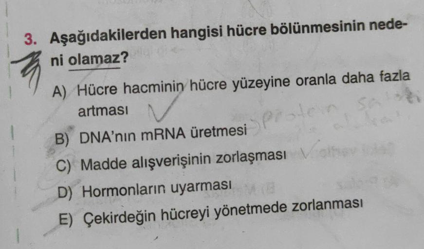 3. Aşağıdakilerden hangisi hücre bölünmesinin nede-
ni olamaz?
A) Hücre hacminin hücre yüzeyine oranla daha fazla
artması
B) DNA'nın mRNA üretmesi
C) Madde alışverişinin zorlaşması
D) Hormonların uyarması
E) Çekirdeğin hücreyi yönetmede zorlanması
