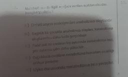 Metaboli me ile ilgili asağıda verilen açıklamalardan
hangisi yanlista?
1.) Dehidrasyon reaksiyonları anabolizma olaylarıdır.
B) Sağlıklı bir çocukta anabolizma olayları, katabolizma
olaylarından daha fazla gerçekleşir.
C) Sabit isili bir canlınm kış aylarında metabolizma hizi,
yez aylarına göre deha yüksektir.
D) Soğukkanlı canlıların metabolizma hızı ortam sıcaldığı
artıkça yavaşlar.
Uyku durumunda metabolizma hızı yavaşlar.